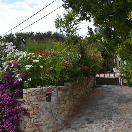 Apartment Les Moulins サントロペ エクステリア 写真