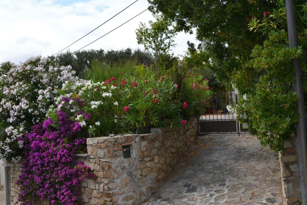 Apartment Les Moulins サントロペ エクステリア 写真